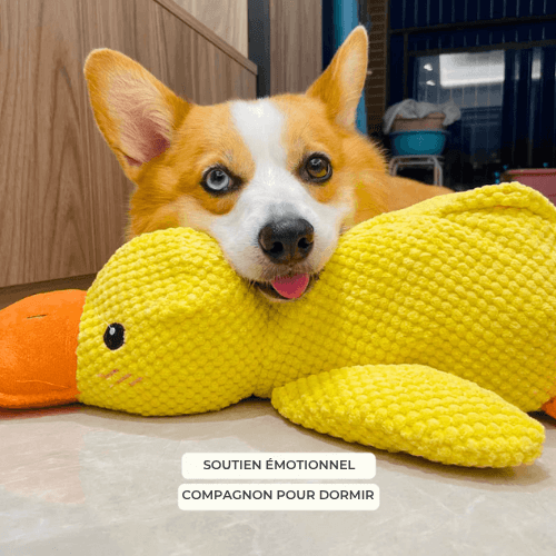 ZenDuck™ – Peluche anti-stress douce – Le compagnon idéal
