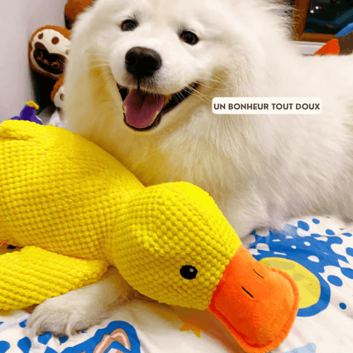 ZenDuck™ – Peluche anti-stress douce – Le compagnon idéal