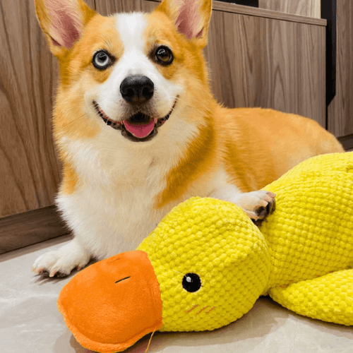 ZenDuck™ – Peluche anti-stress douce – Le compagnon idéal