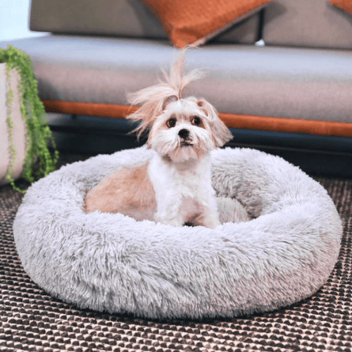 RêveBed™ – Lit apaisant pour chien – Moelleux, anti-stress et sécurisé