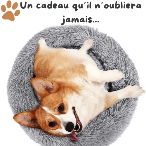 RêveBed™ – Lit apaisant pour chien – Moelleux, anti-stress et sécurisé