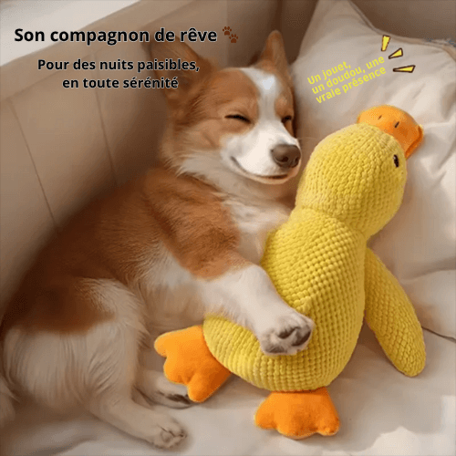 ZenDuck™ – Peluche anti-stress douce – Le compagnon idéal