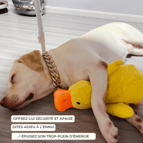 ZenDuck™ – Peluche anti-stress douce – Le compagnon idéal