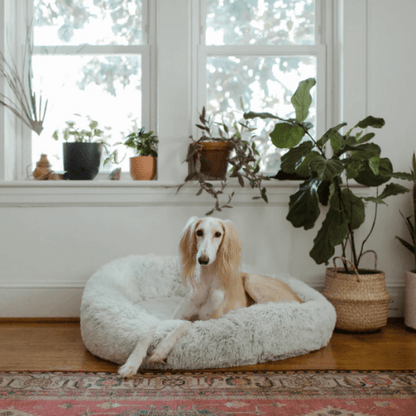 RêveBed™ – Lit apaisant pour chien – Moelleux, anti-stress et sécurisé