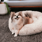 RêveBed™ – Lit apaisant pour chien – Moelleux, anti-stress et sécurisé