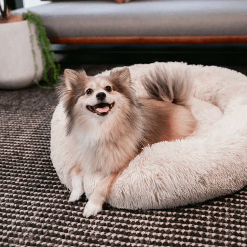 RêveBed™ – Lit apaisant pour chien – Moelleux, anti-stress et sécurisé