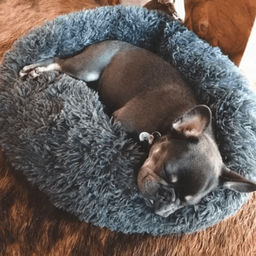 RêveBed™ – Lit apaisant pour chien – Moelleux, anti-stress et sécurisé