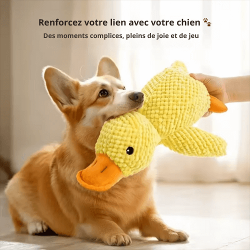 ZenDuck™ – Peluche anti-stress douce – Le compagnon idéal