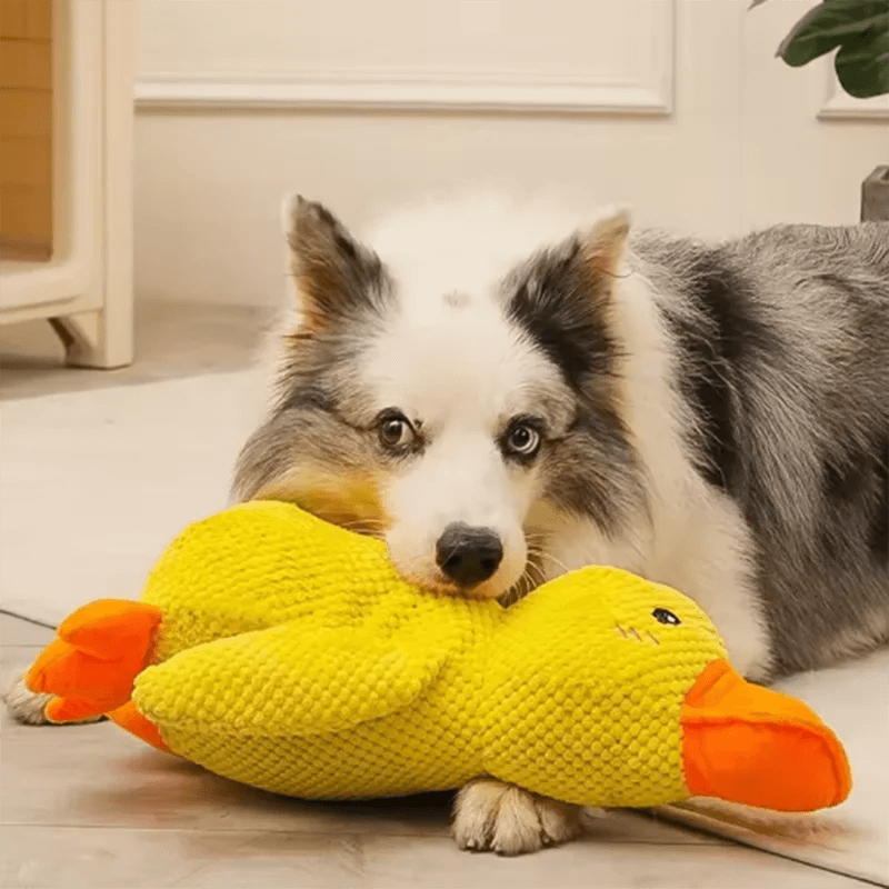 ZenDuck™ – Peluche anti-stress douce – Le compagnon idéal